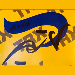 ALI-MAHINTORABI